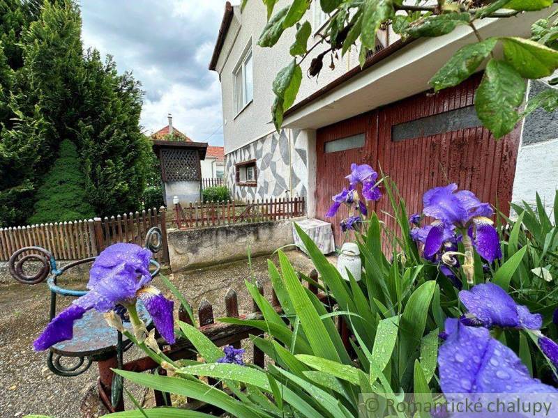 A family house with an antique layout, detail of purple flowers and a wooden fence.