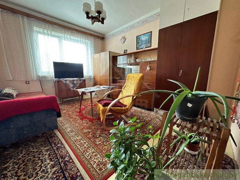 The living room with a carpet, television, chair, and plants dominates the family house.