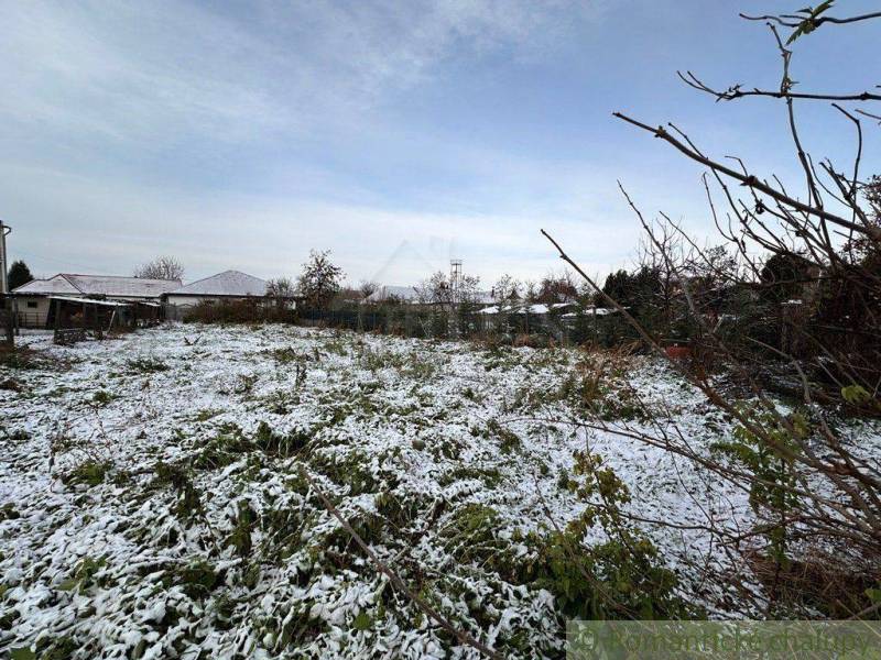 A snowy plot with family houses in the background, surrounded by greenery and trees.
