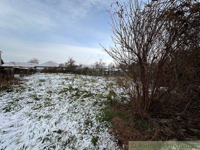 A lawn covered with snow, bushes, in the distance stands a family house and fences.