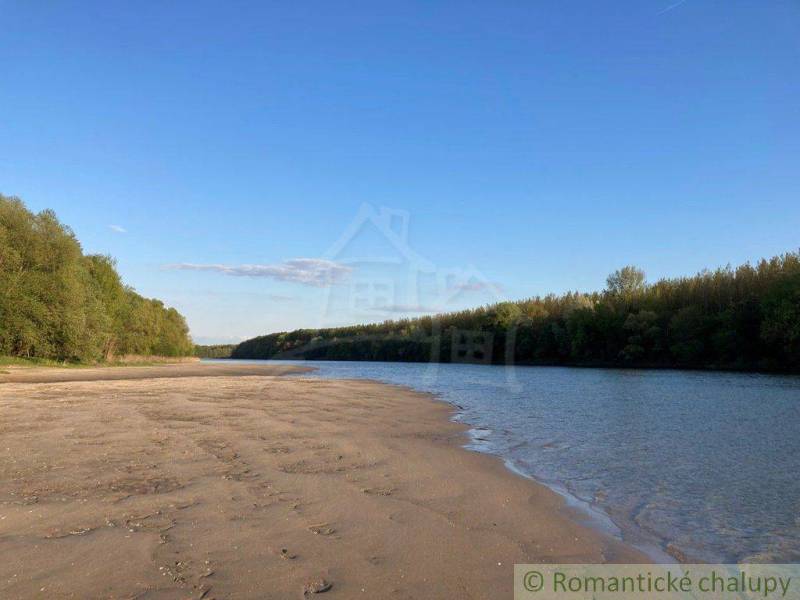 A sandy beach and a river surrounded by forests on a sunny day, ideal for a family home.