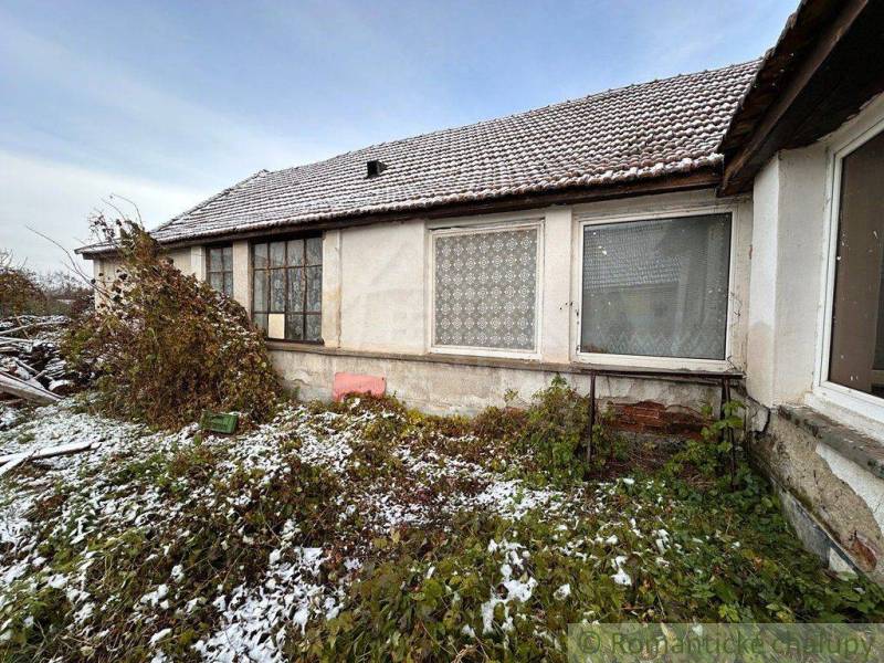 A family house under the snow with large windows surrounded by plants in autumn weather.