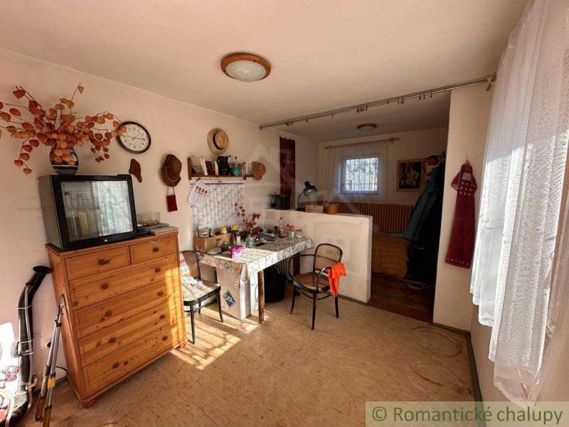 The interior of the cabin with wooden furniture, a collection of clocks, a kitchen, and sunlight illumination.