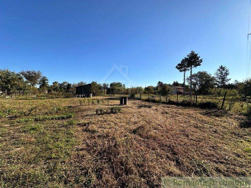 A free plot of land with cottages, trees, and grass, ideal for relaxation in nature.