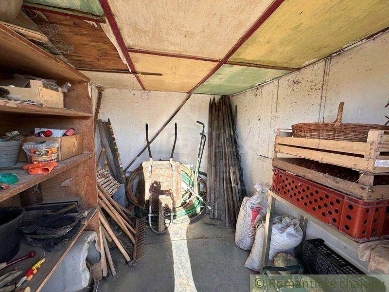 A garden shed with tools like a shovel and spade arranged on shelves and a table.