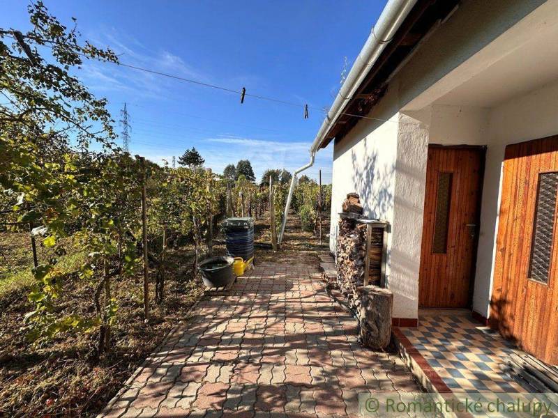A cottage with wooden doors, a beautiful garden, and vineyards in the yard.