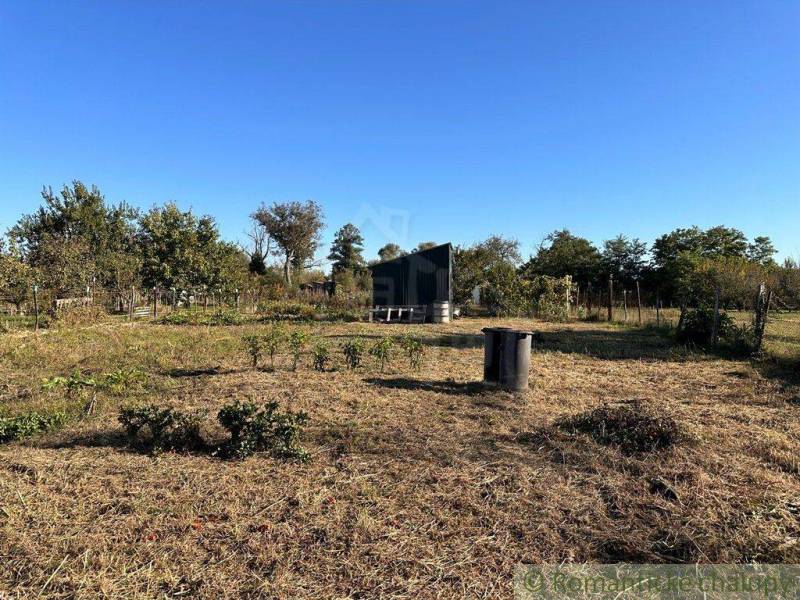 A garden with a cottage and trees, blue sky, natural scenery, peaceful environment.