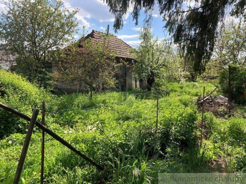 An older house surrounded by lush greenery and fruit trees, ideal for plots - living.