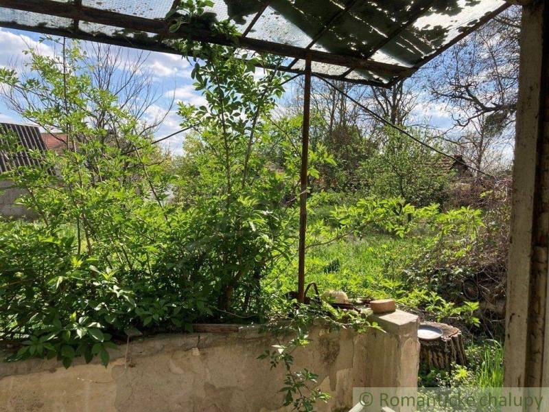 An overgrown garden with a dented canopy shows the potential of the plot for living.