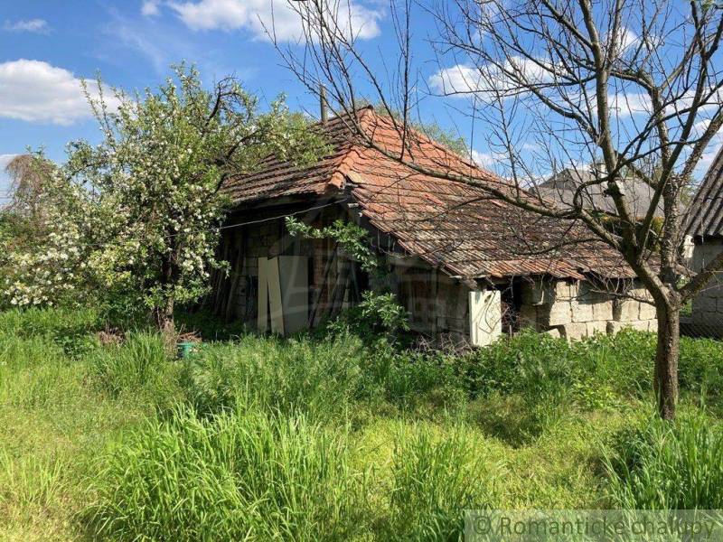 An old house on the property, surrounded by grass and trees, suitable for living.