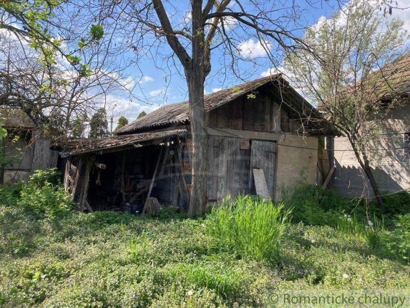 Old wooden house surrounded by greenery, ideal for renovation and land - living.