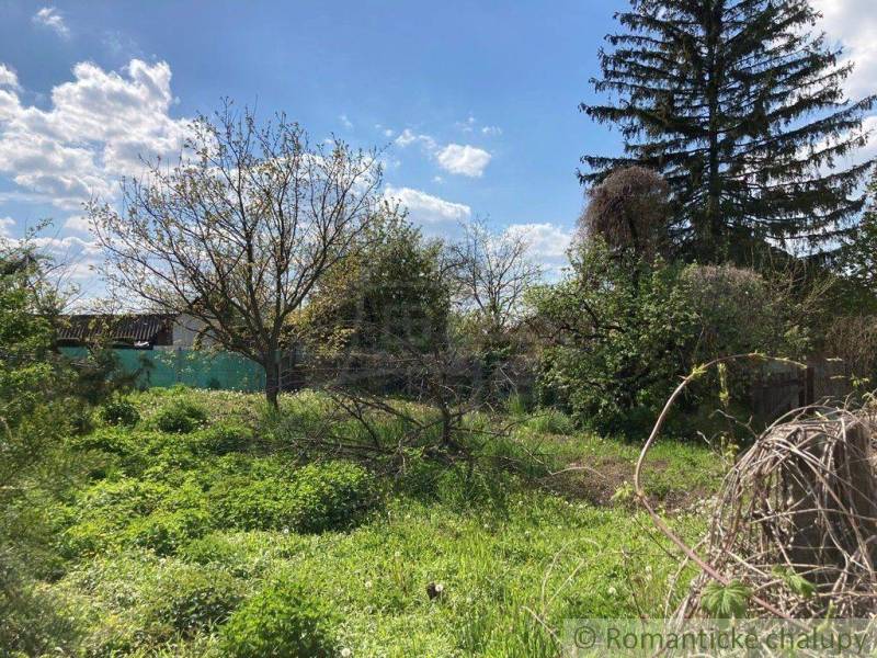 Greenery, trees, residential plots; sunny day, blue sky, nature, airy feelings.