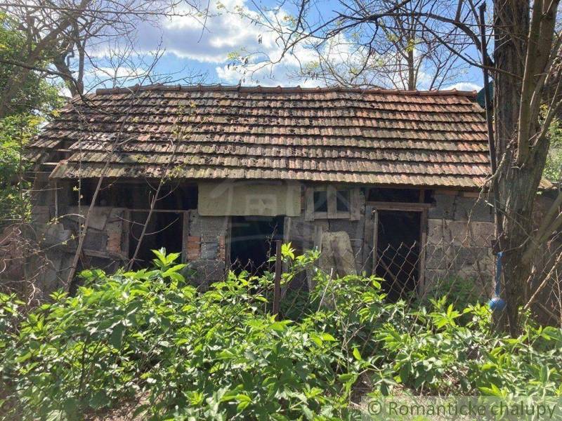 An older house with a wooden roof surrounded by greenery, ideal for countryside lovers.