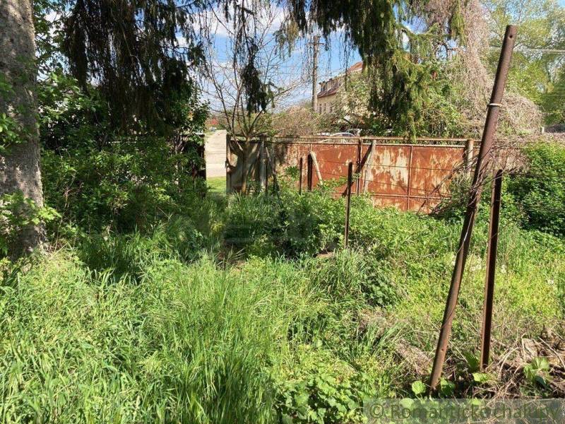 Overgrown garden, rusty sheets, trees, ideal for renovation and new living.