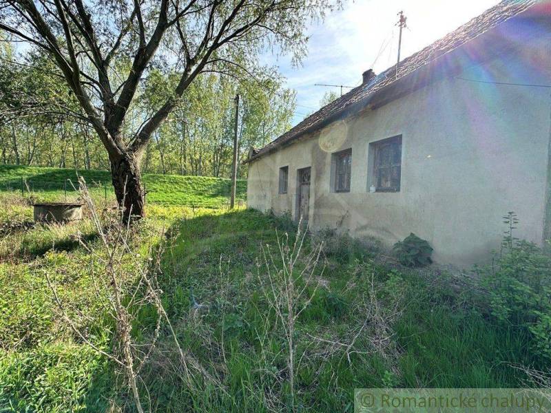 An old cottage in nature with grass and a tree in the background.