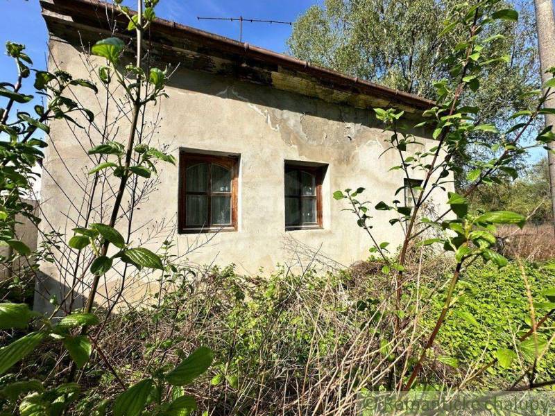 An old cottage surrounded by nature, adorned with greenery and wooden windows.