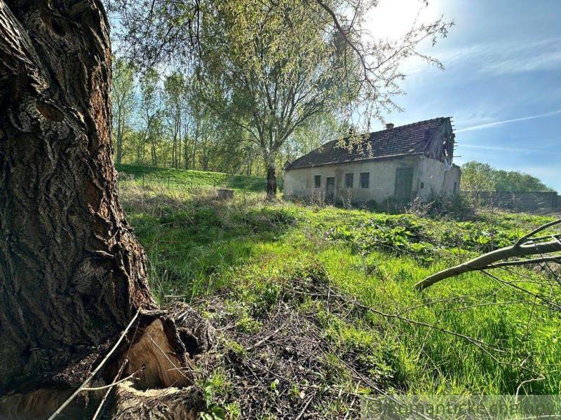 An old cottage in the forest with trees, grass, and bright sunlight.