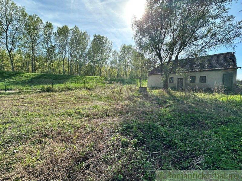 The picture shows a cottage surrounded by grass and trees in a sunny environment.