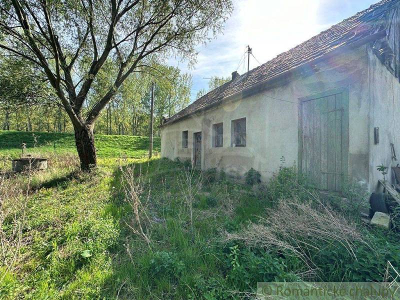 A cottage in nature surrounded by trees, grass, and a well with an idyllic atmosphere.