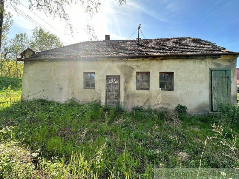 An older cottage with a wooden roof, situated in an overgrown natural area.