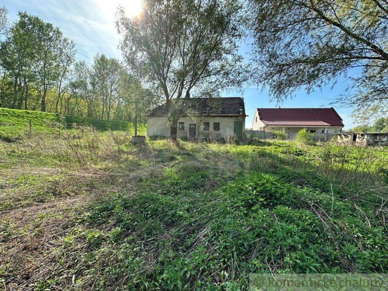 A cottage in the countryside is surrounded by greenery and trees, an ideal place for relaxation.