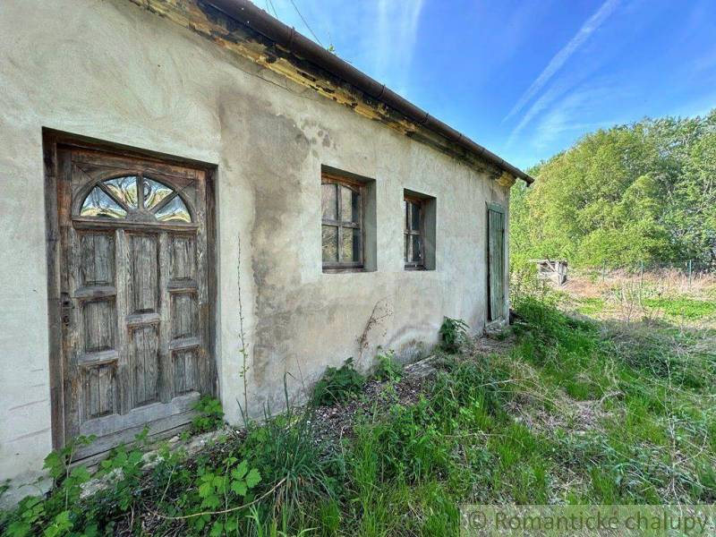 A cottage with wooden doors, windows, surrounded by grass and trees on the edge of the forest.