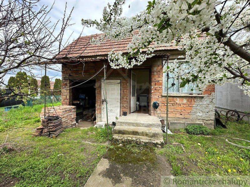 A brick family house, unplastered, with blooming trees and a garden in the background.