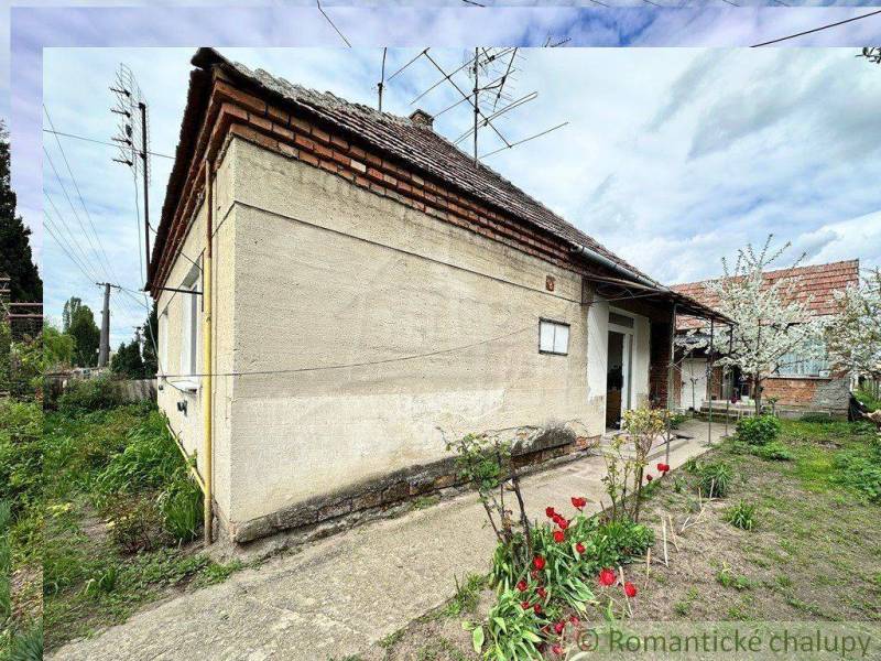 In the picture, there is an older family house with a garden and blooming tulips.