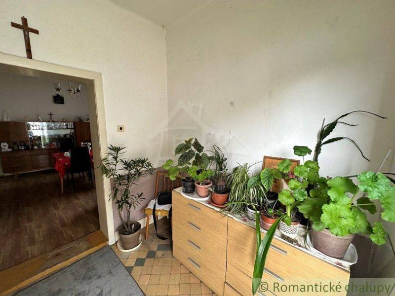 A room full of plants and furniture in a family house creates a cozy atmosphere.