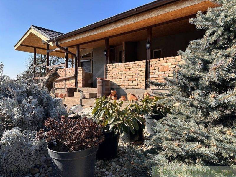 A brick family house with ornamental plants growing in front of it, with a spruce in the foreground.