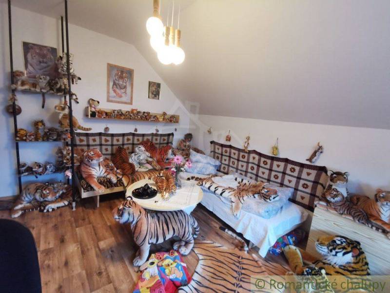 Family house: A room full of tigers, a multitude of plush toys and decorations with tiger motifs.