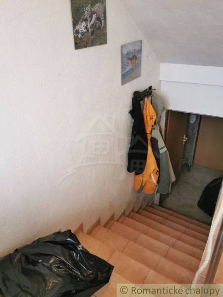 The staircase leads to the basement of the family house, images of felines adorn the walls.