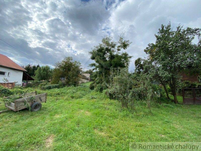 In the picture, there is a country garden and plots with a house and a cart.
