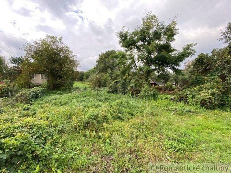 The image shows green vegetation and trees on a plot suitable for living.