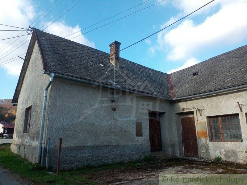 Concrete family house, sloped roof, exterior plaster, wooden doors, windows.