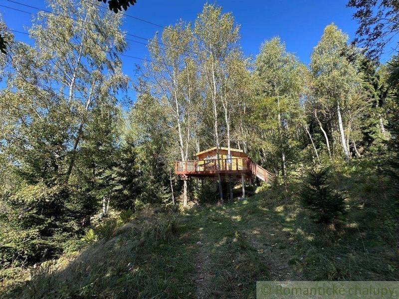 The treehouse is in the middle of a forest environment, surrounded by trees in nature.