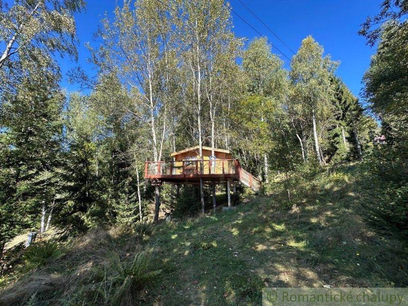 A treehouse in the middle of the forest, surrounded by greenery and nature, an ideal family home.