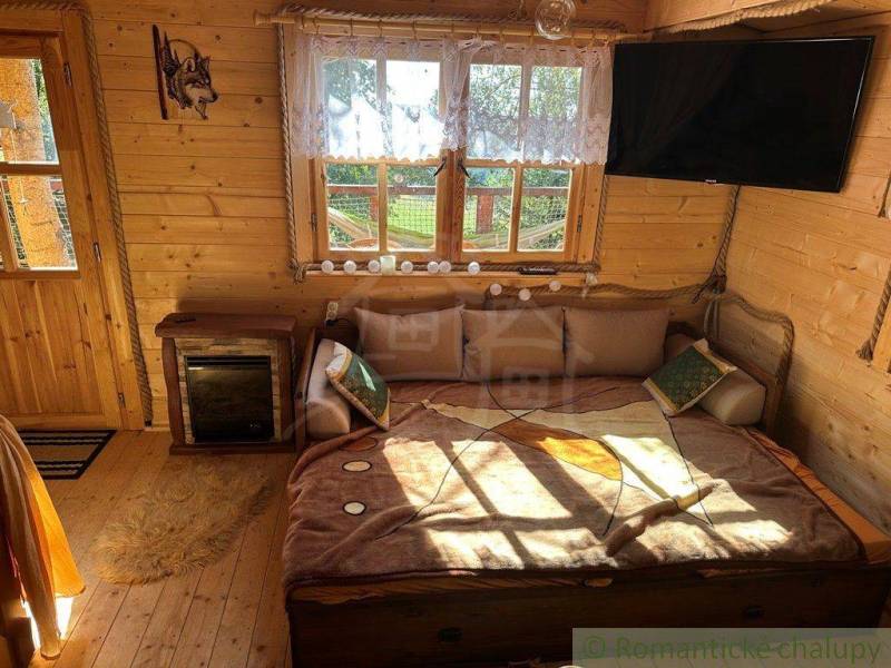 A wooden room with a sofa, TV, fireplace, and window in a family house.