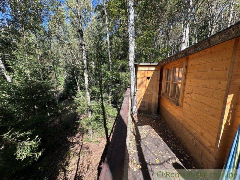 The wooden terrace of the cottage with a view of the forest offers a peaceful escape into nature.