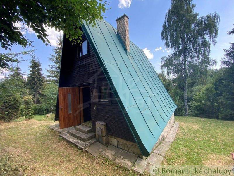 A wooden cabin with a tin roof in the forest, ideal for a family to relax. Cottage.