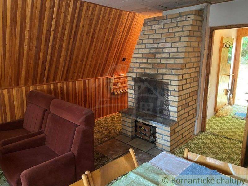 Interior with a brick fireplace, wooden walls, a sofa, and a view into the hallway. Cottage.