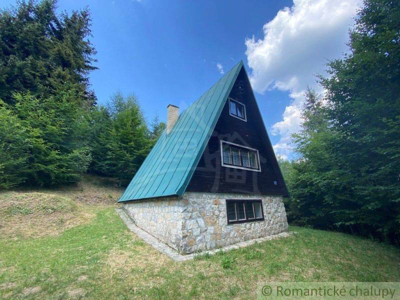A cottage in the forest with a stone foundation, steep roof, and cladding. A family house in nature.