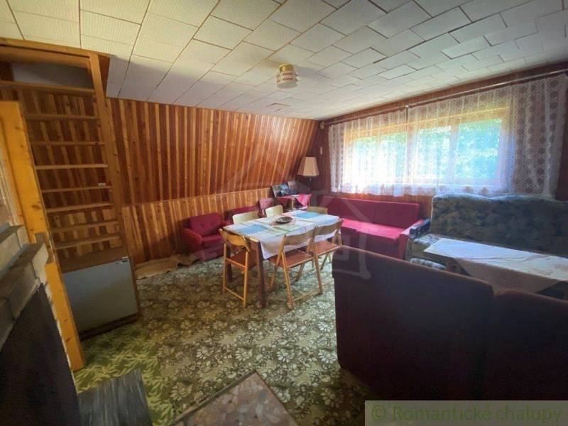 Living room in a family house with a carpet, wooden walls, and a sofa set.