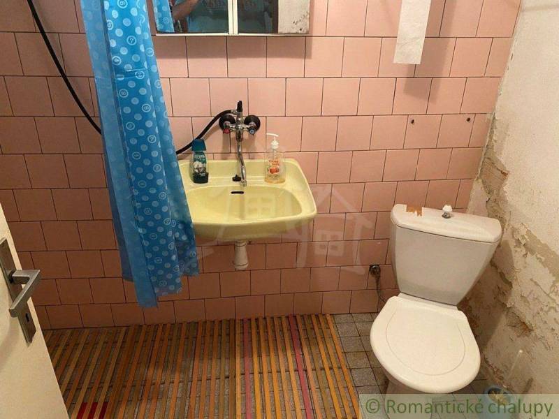 The family house has a bathroom with pink tiles, a sink, and a toilet.