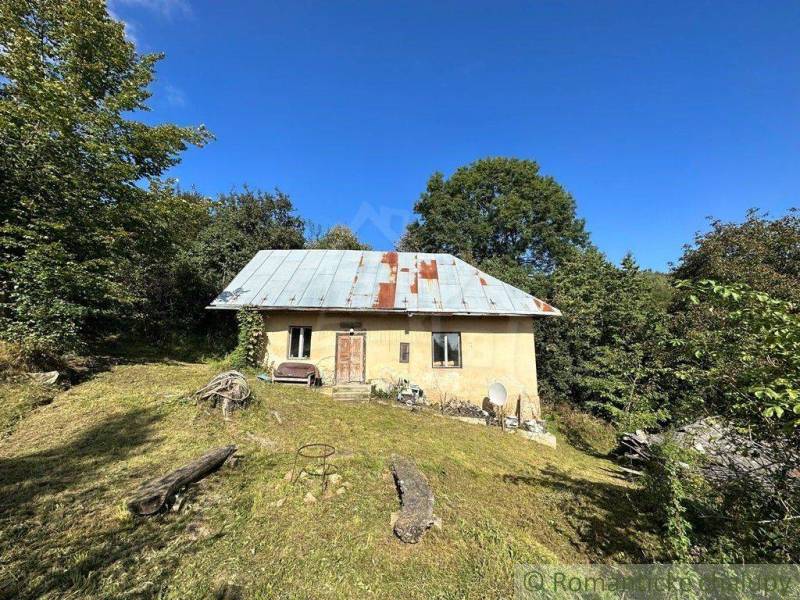 An old cottage with a tin roof, surrounded by trees on a hillside immersed in nature.