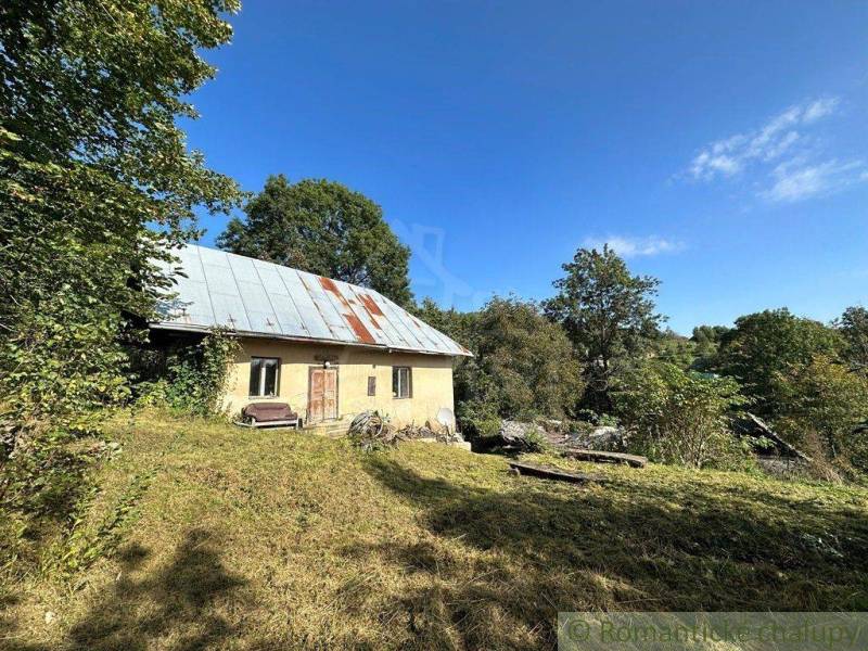 A family house in nature with a metal roof, surrounded by greenery and grass.