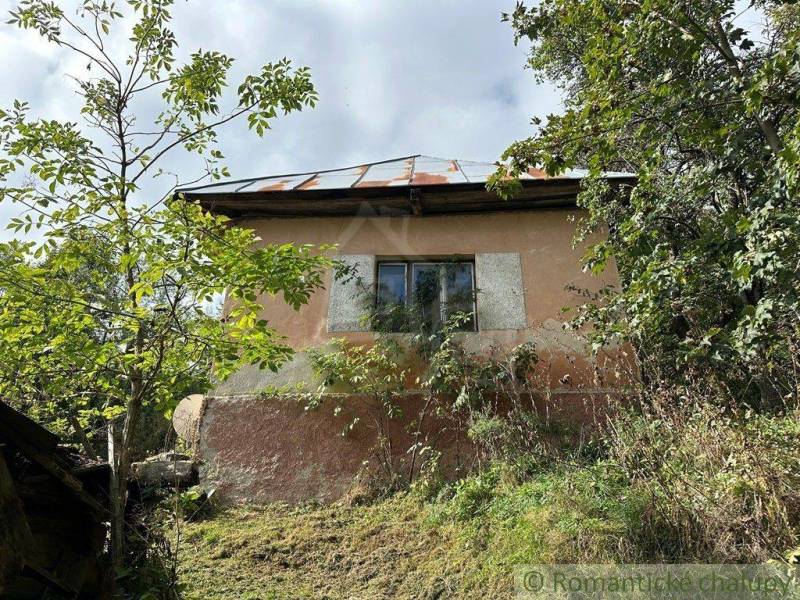 A family house in nature with a shabby facade and surroundings overgrown with bushes.