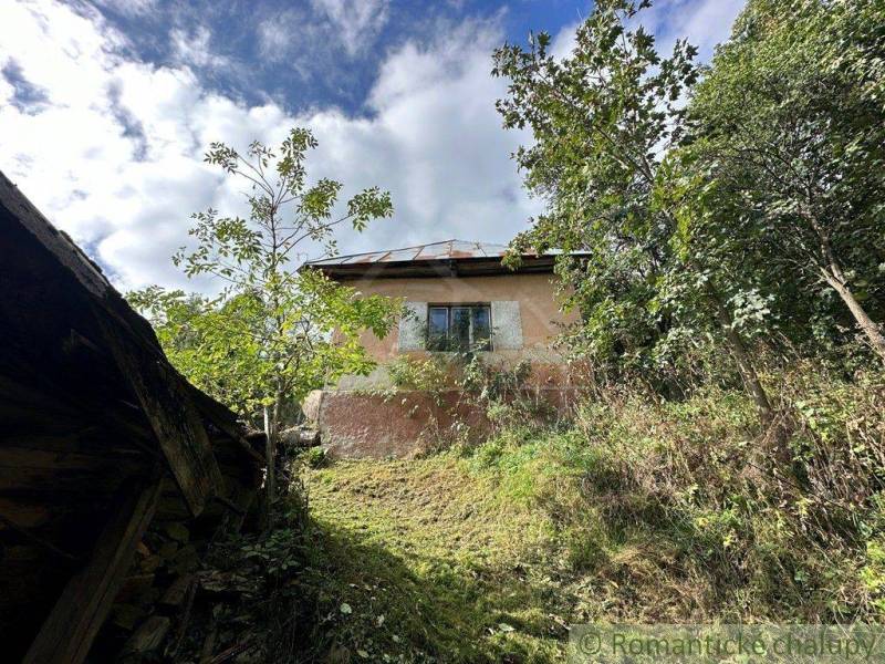 An old family house in nature, surrounded by trees and dense vegetation in the village.