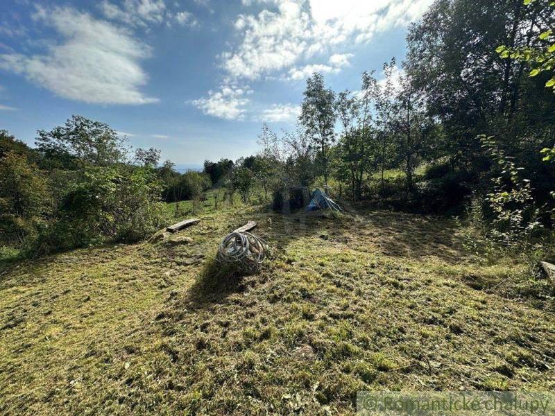 A garden surrounded by trees, contains grass, tools, and a hose, ideal for a family house.