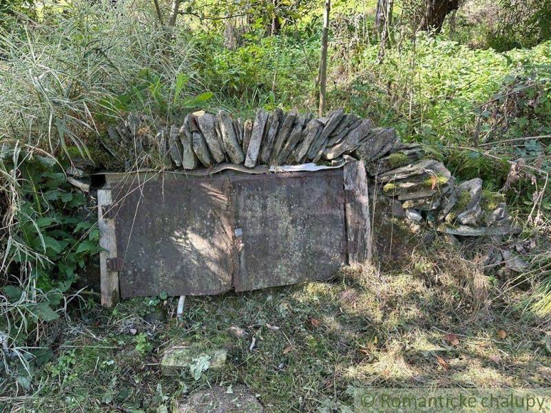 A stone cellar surrounded by dense vegetation offers rustic charm and natural harmony.